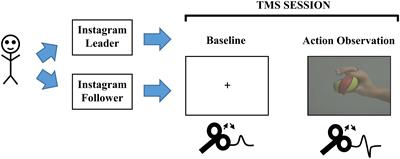 Differential Motor Facilitation During Action Observation in Followers and Leaders on Instagram